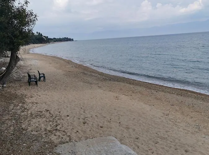 Modernes In Toller Lage *