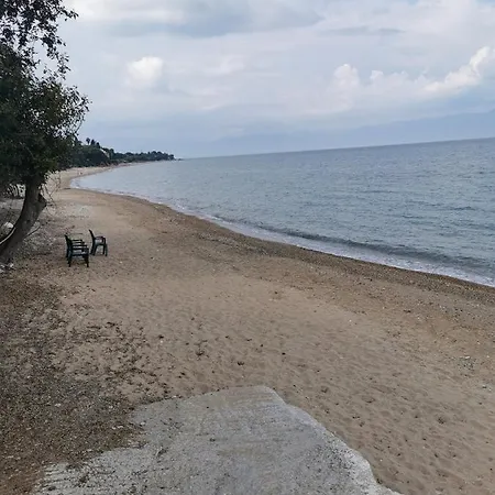 Modernes In Toller Lage *