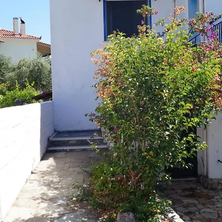 Modernes In Toller Lage 크라니